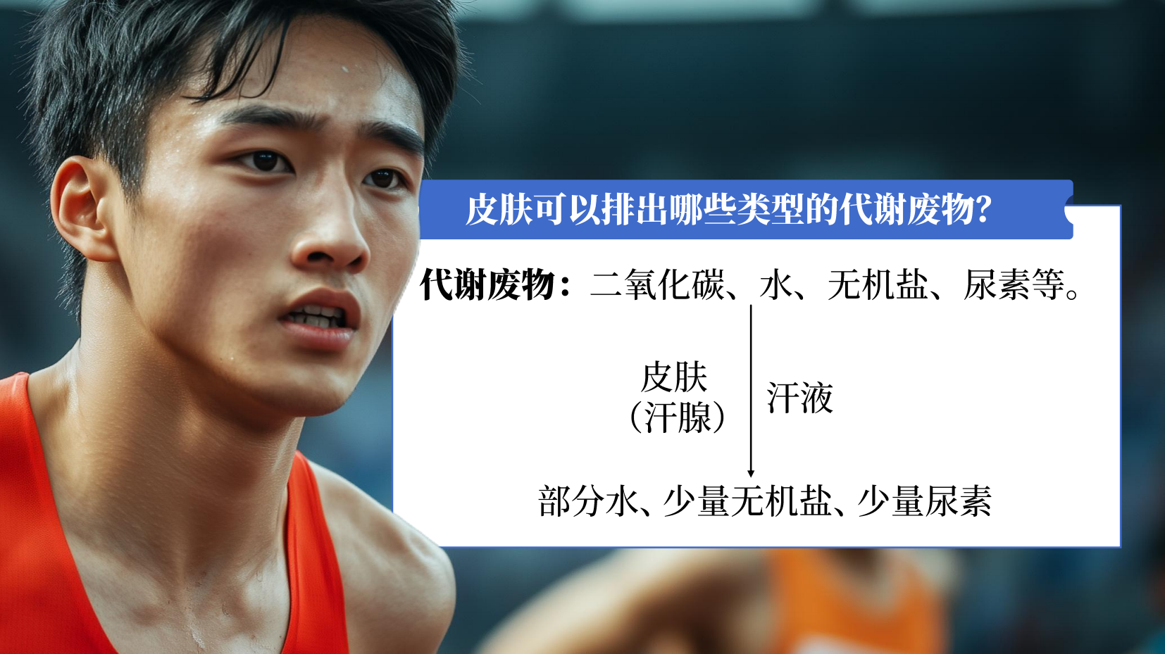 预览图 15