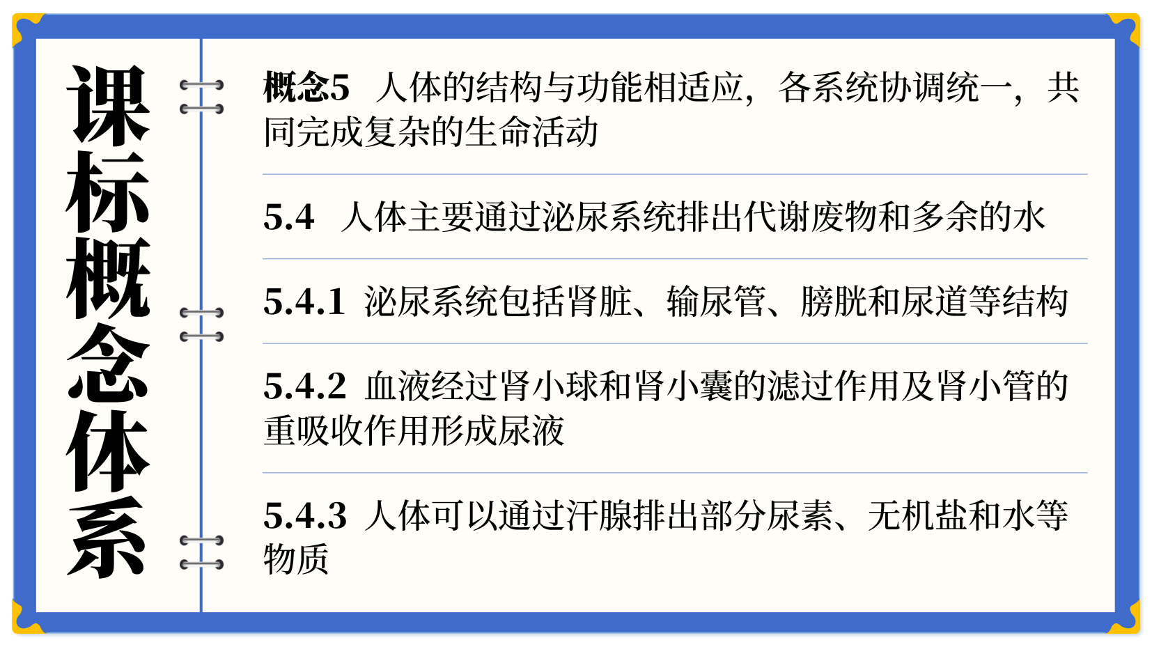 预览图 2