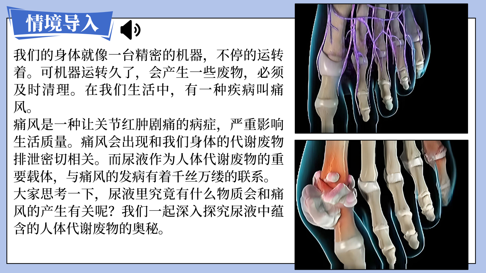 预览图 4