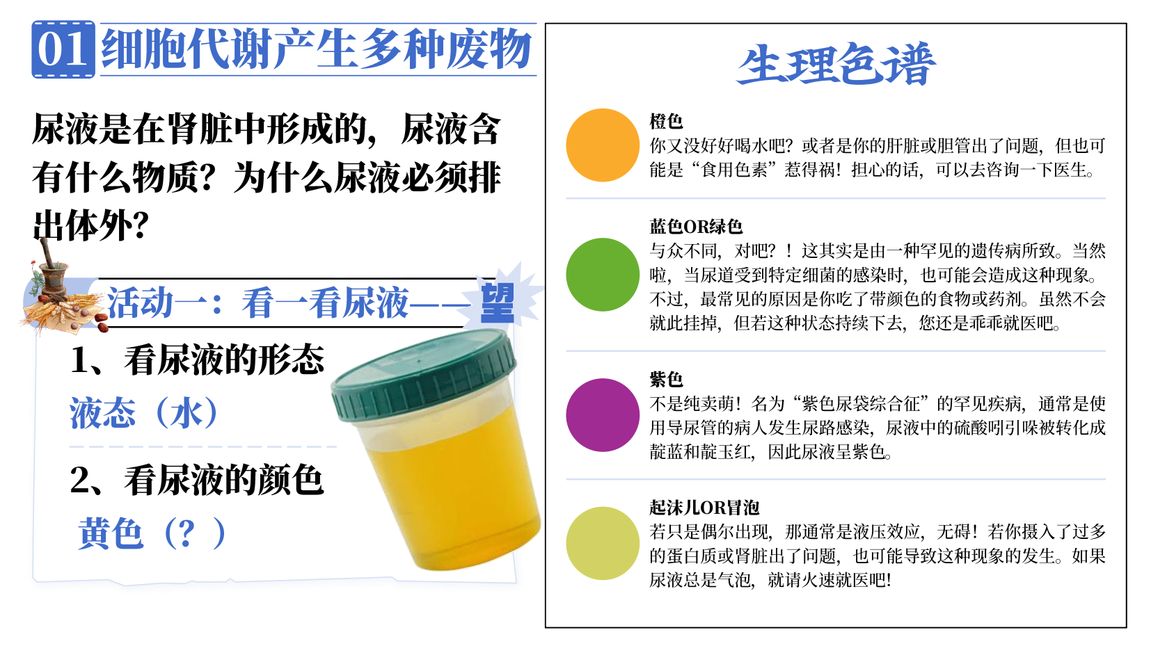预览图 5