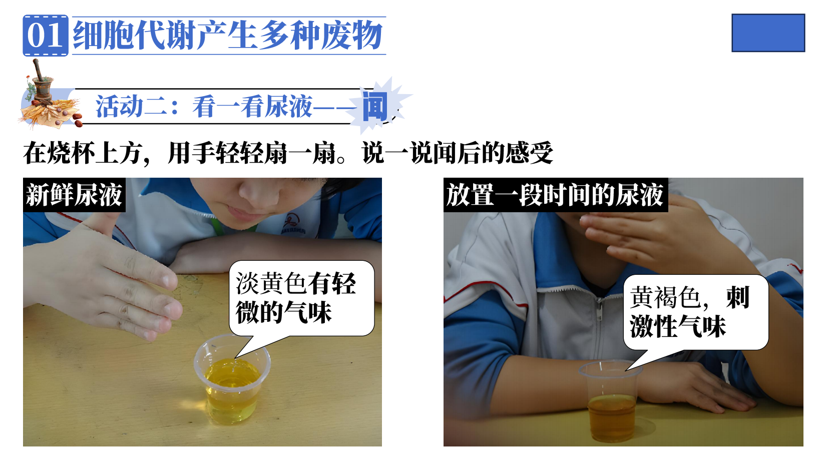 预览图 6