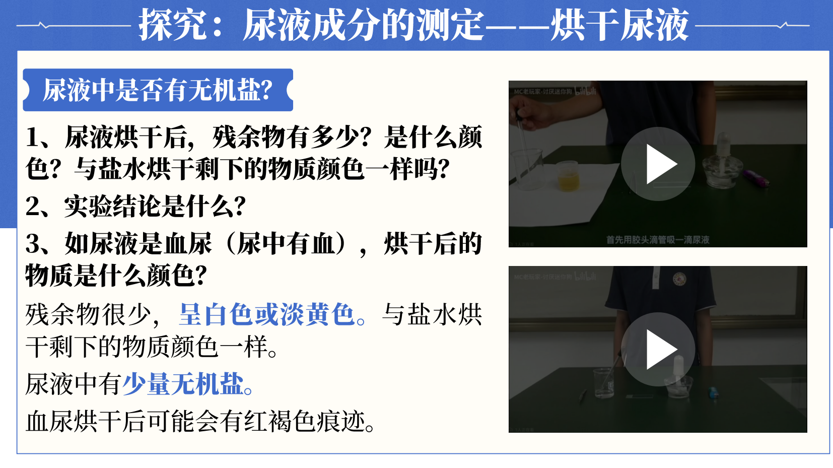 预览图 7