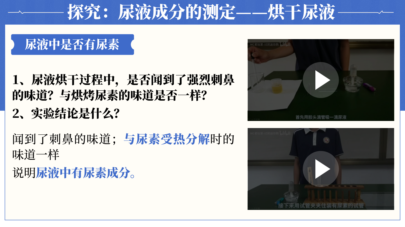 预览图 8