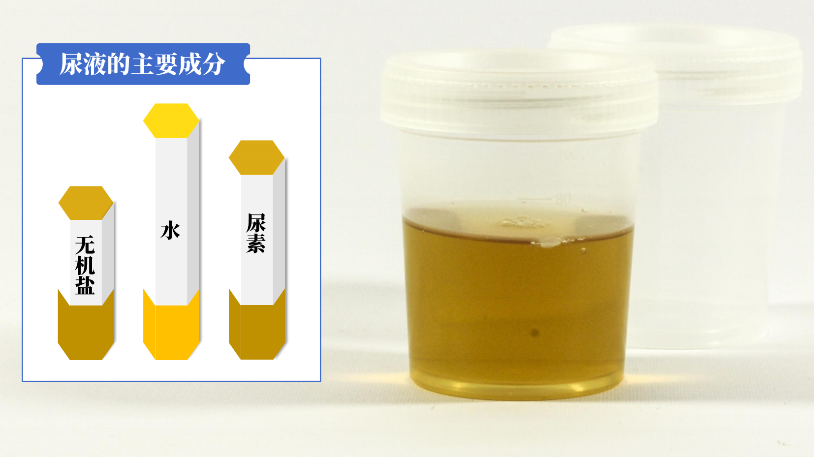 预览图 9