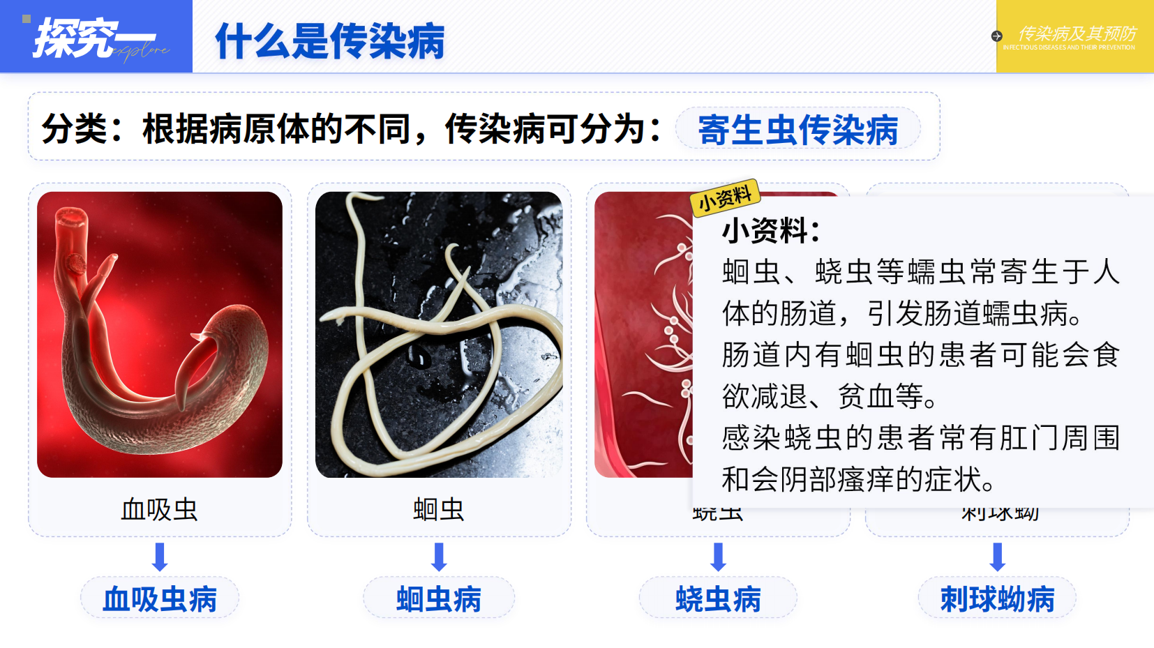 预览图 10