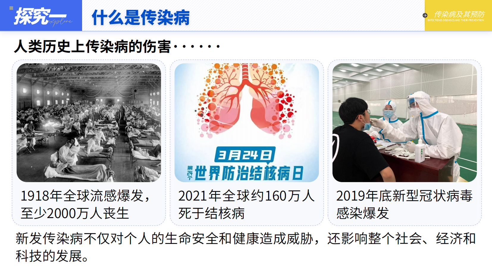 预览图 11