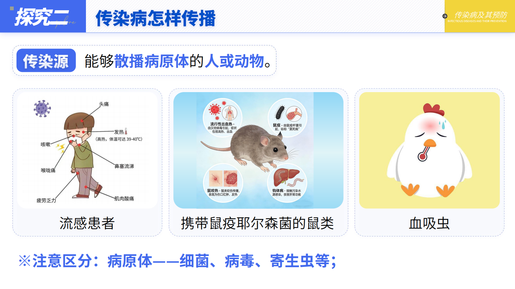 预览图 16