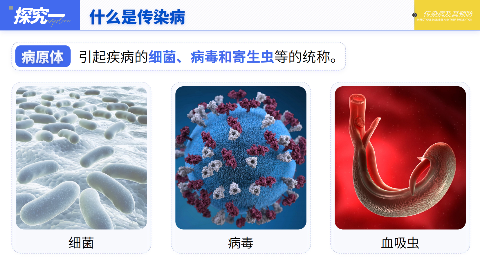 预览图 7