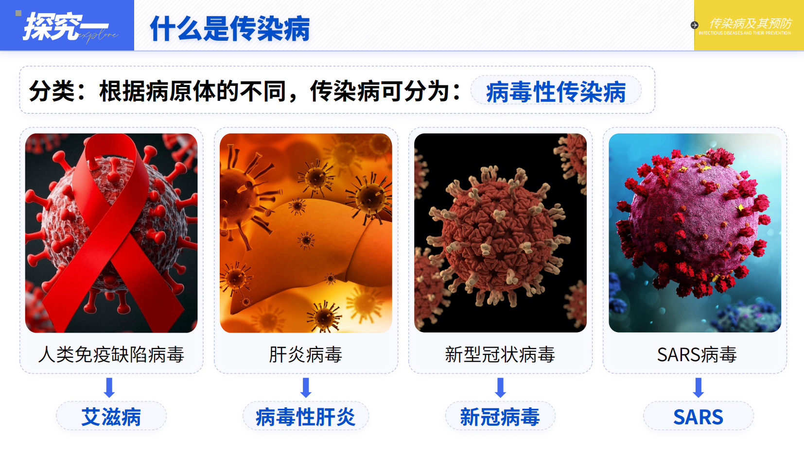 预览图 9