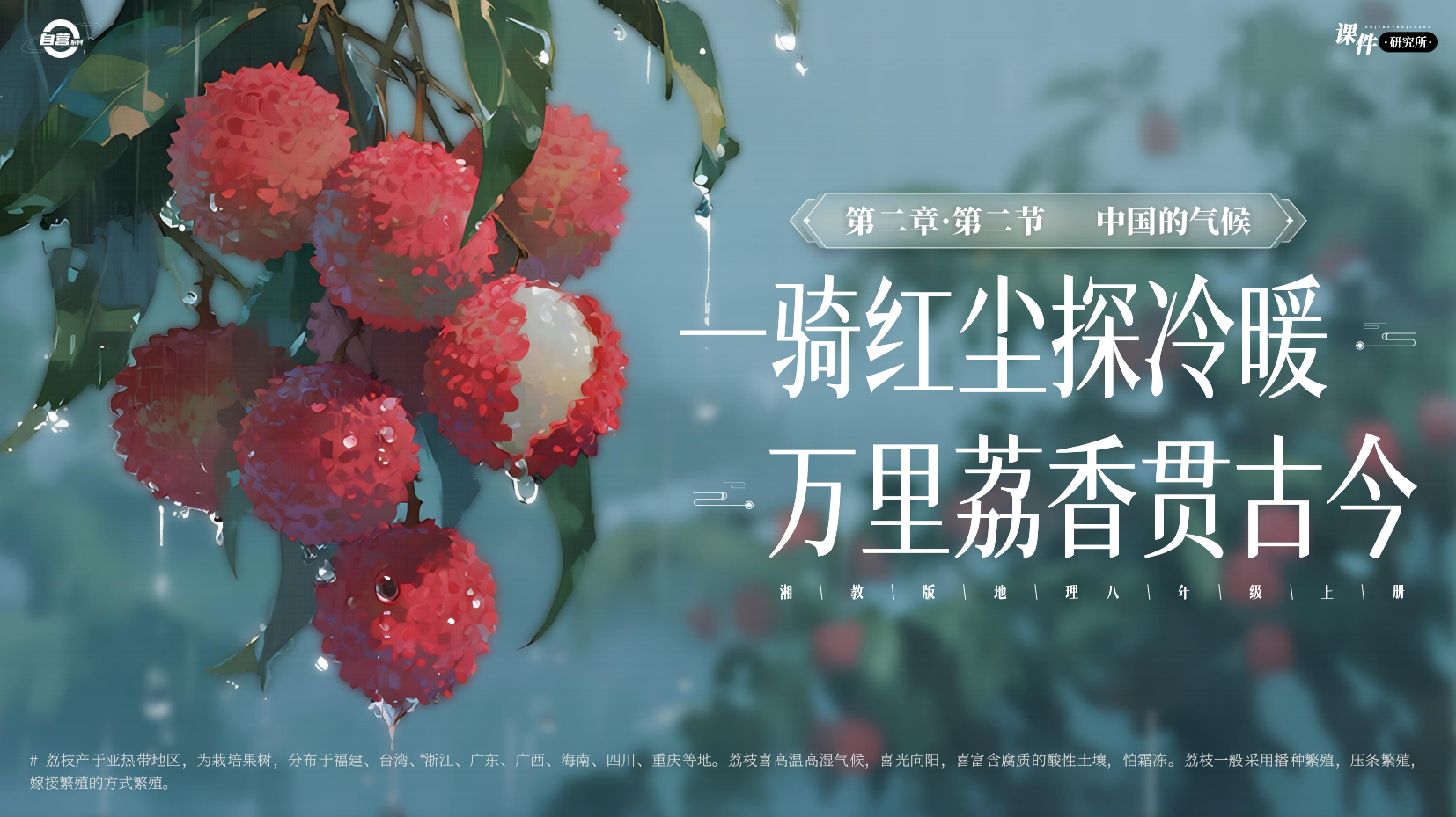 预览图 1