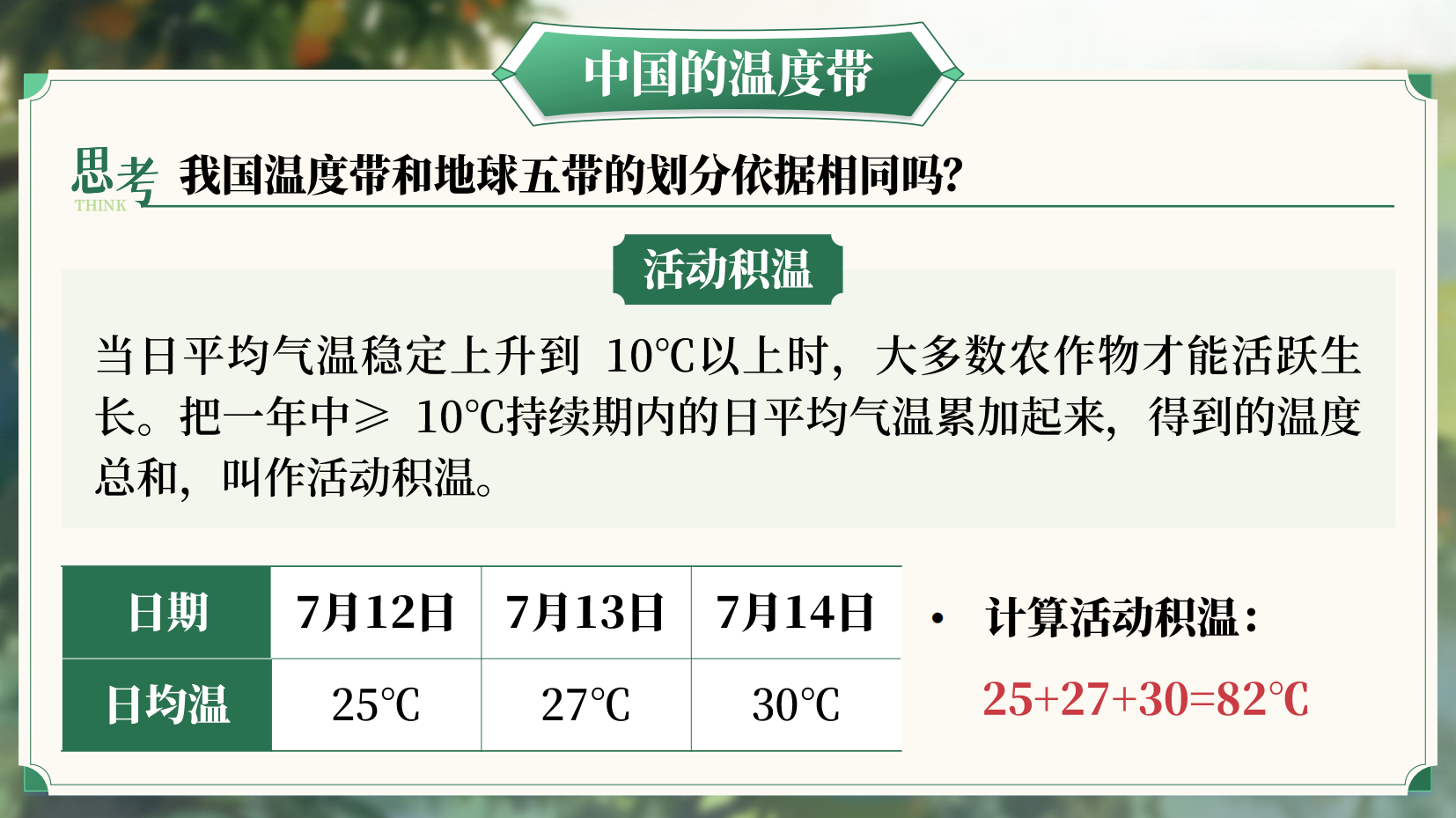 预览图 14