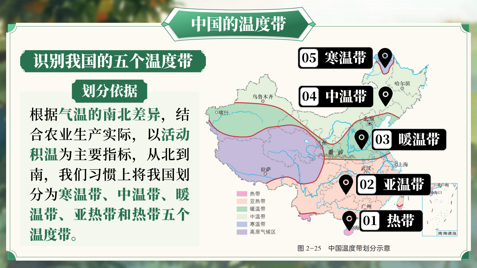 预览图 15