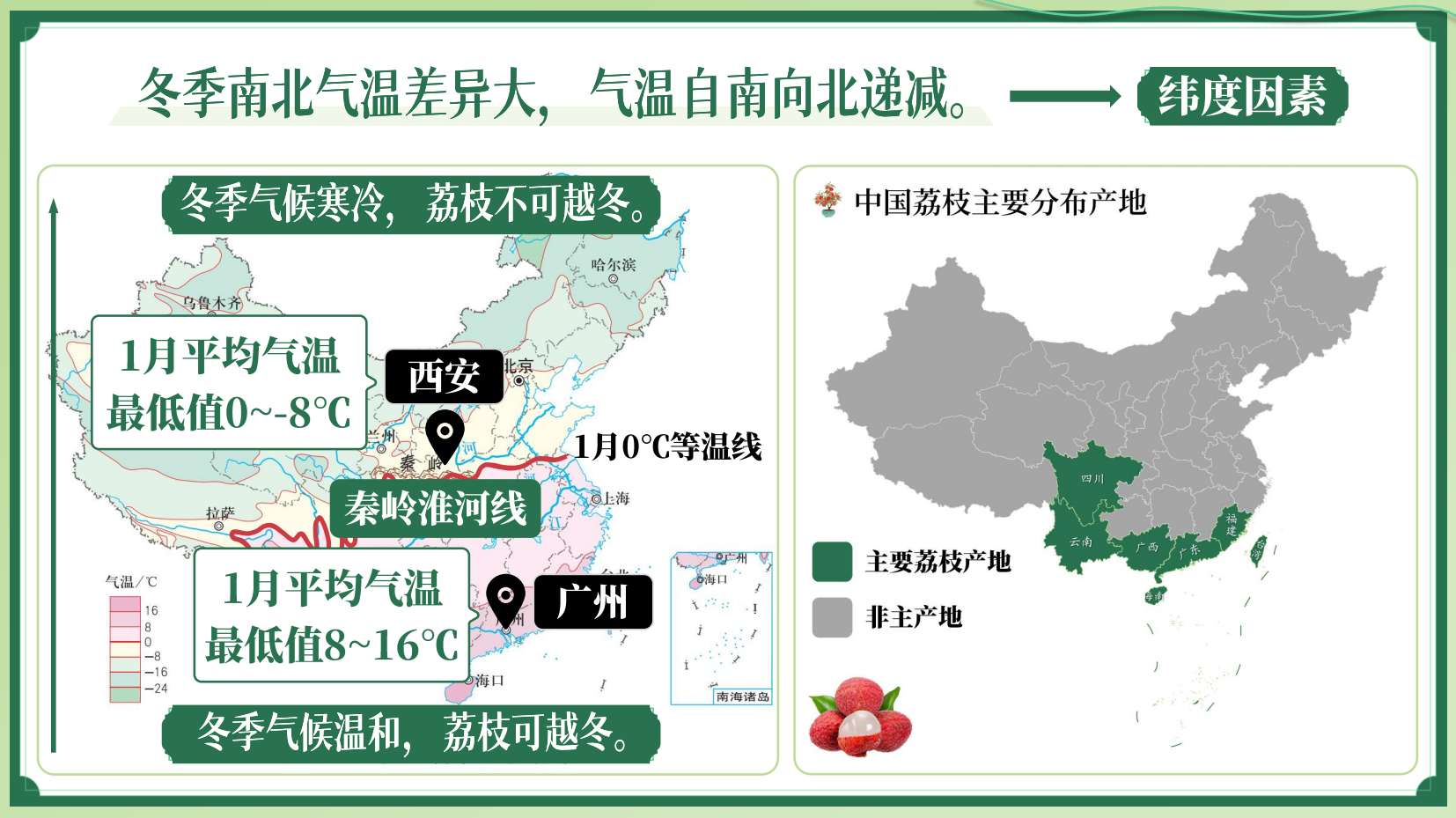 预览图 6