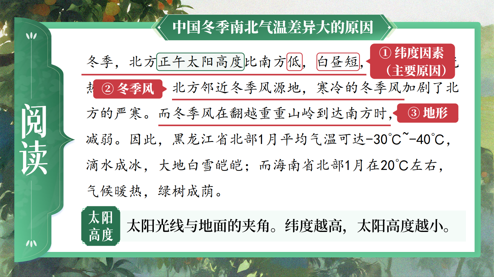 预览图 9