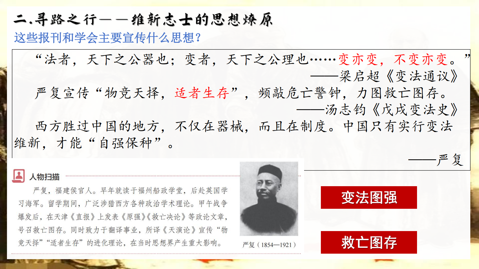 预览图 8