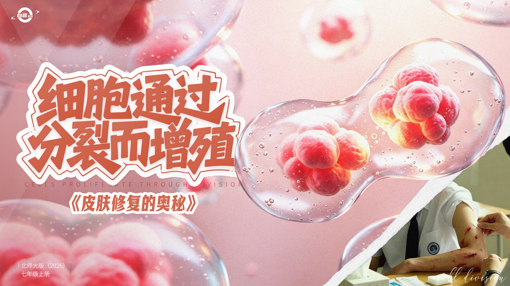 预览图 1