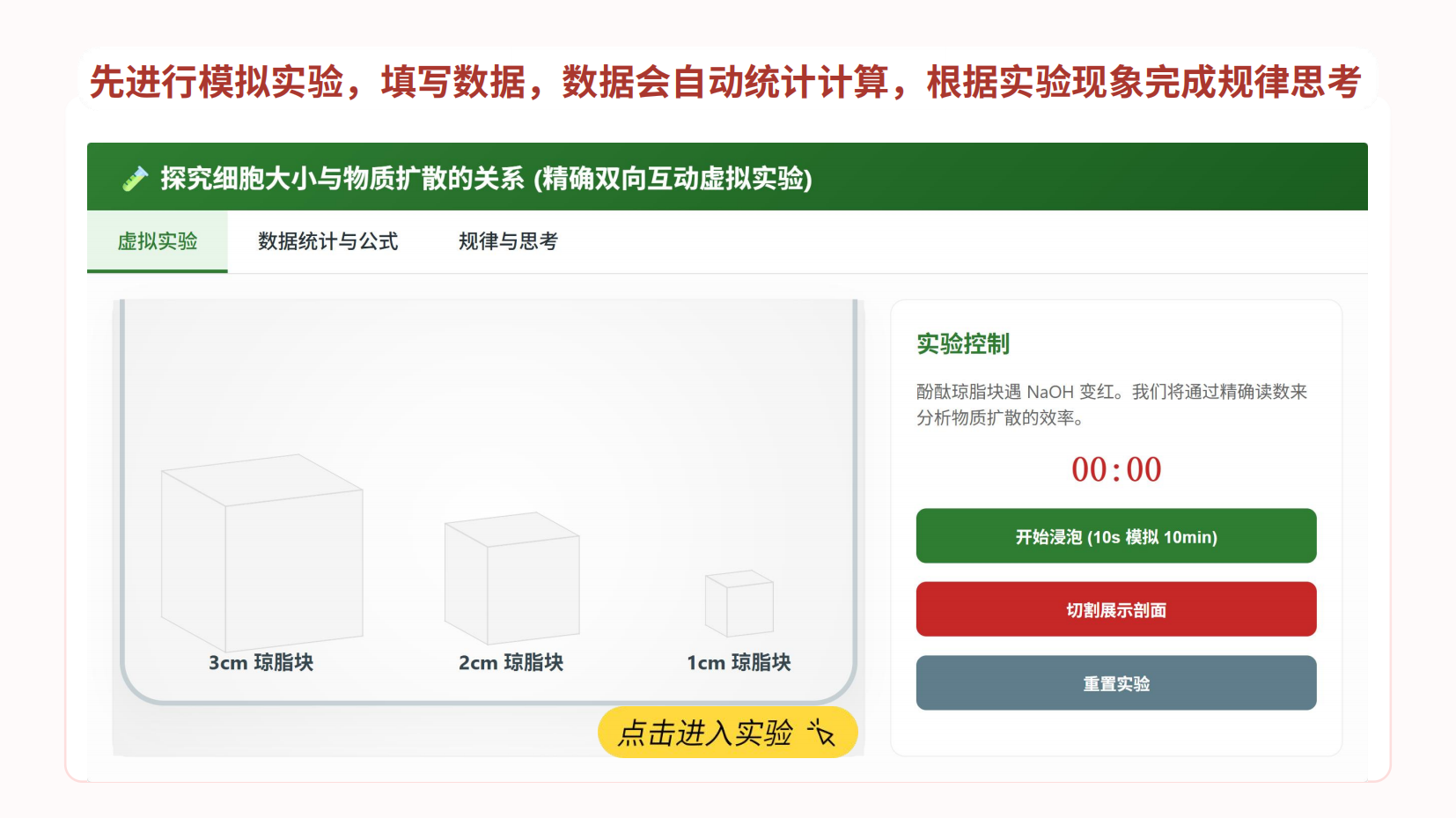 预览图 12
