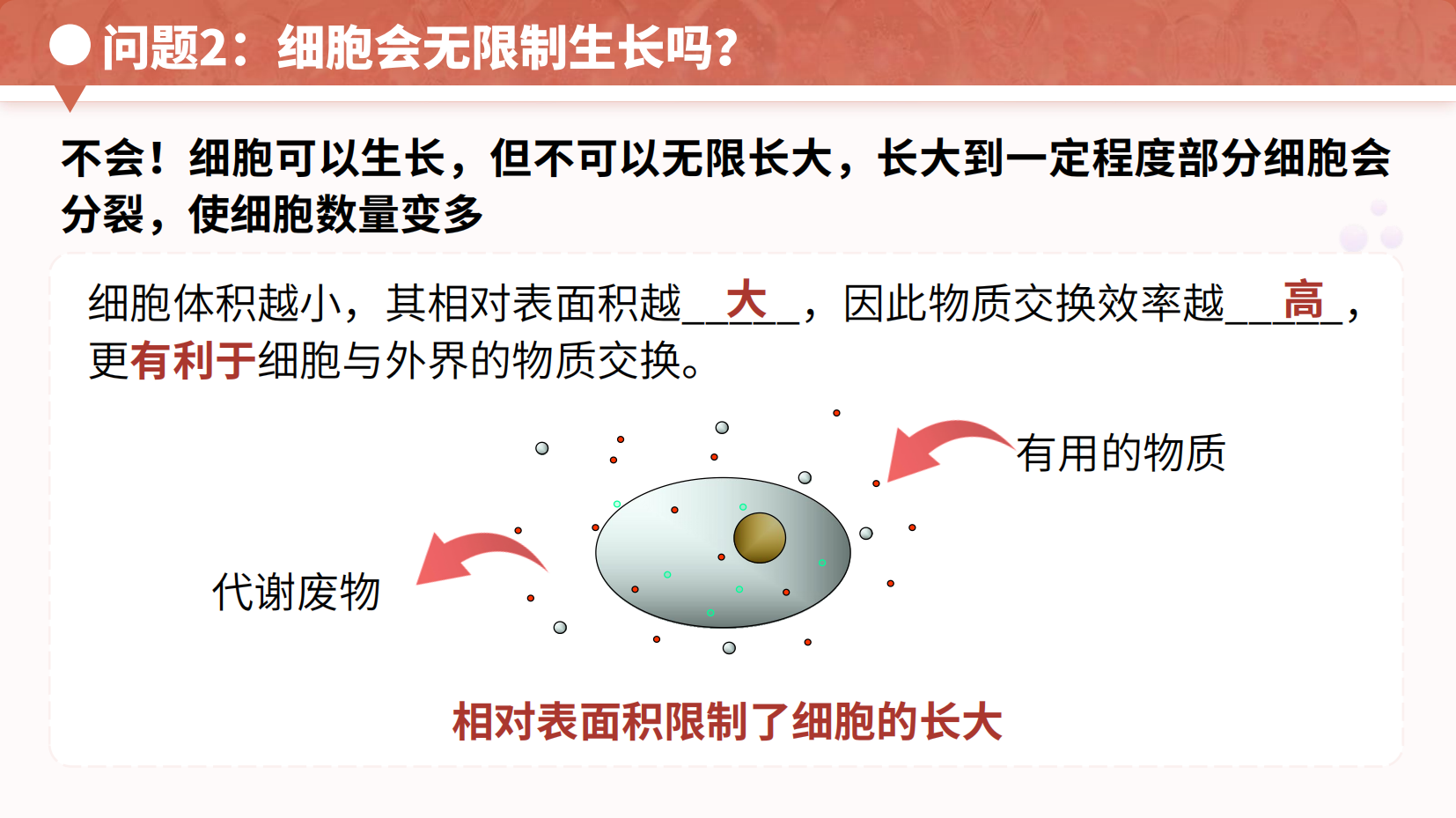 预览图 14