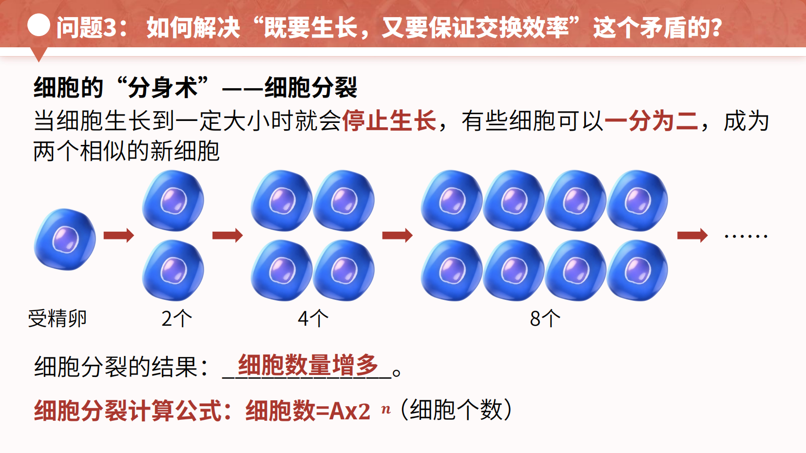 预览图 16