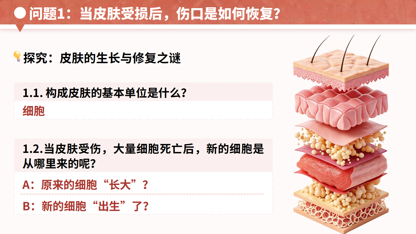 预览图 4
