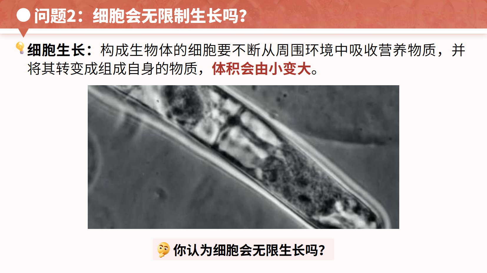 预览图 5