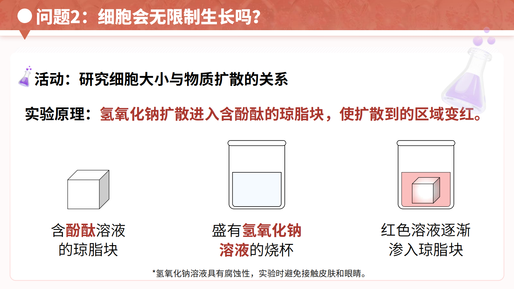 预览图 7