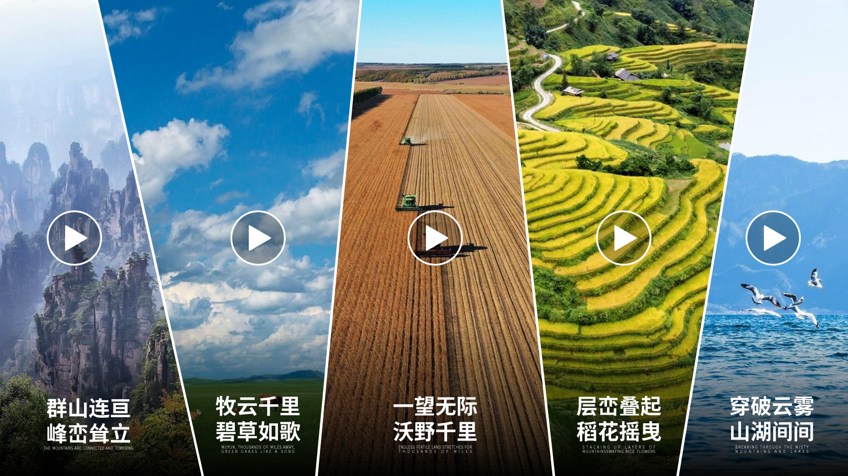 预览图 2