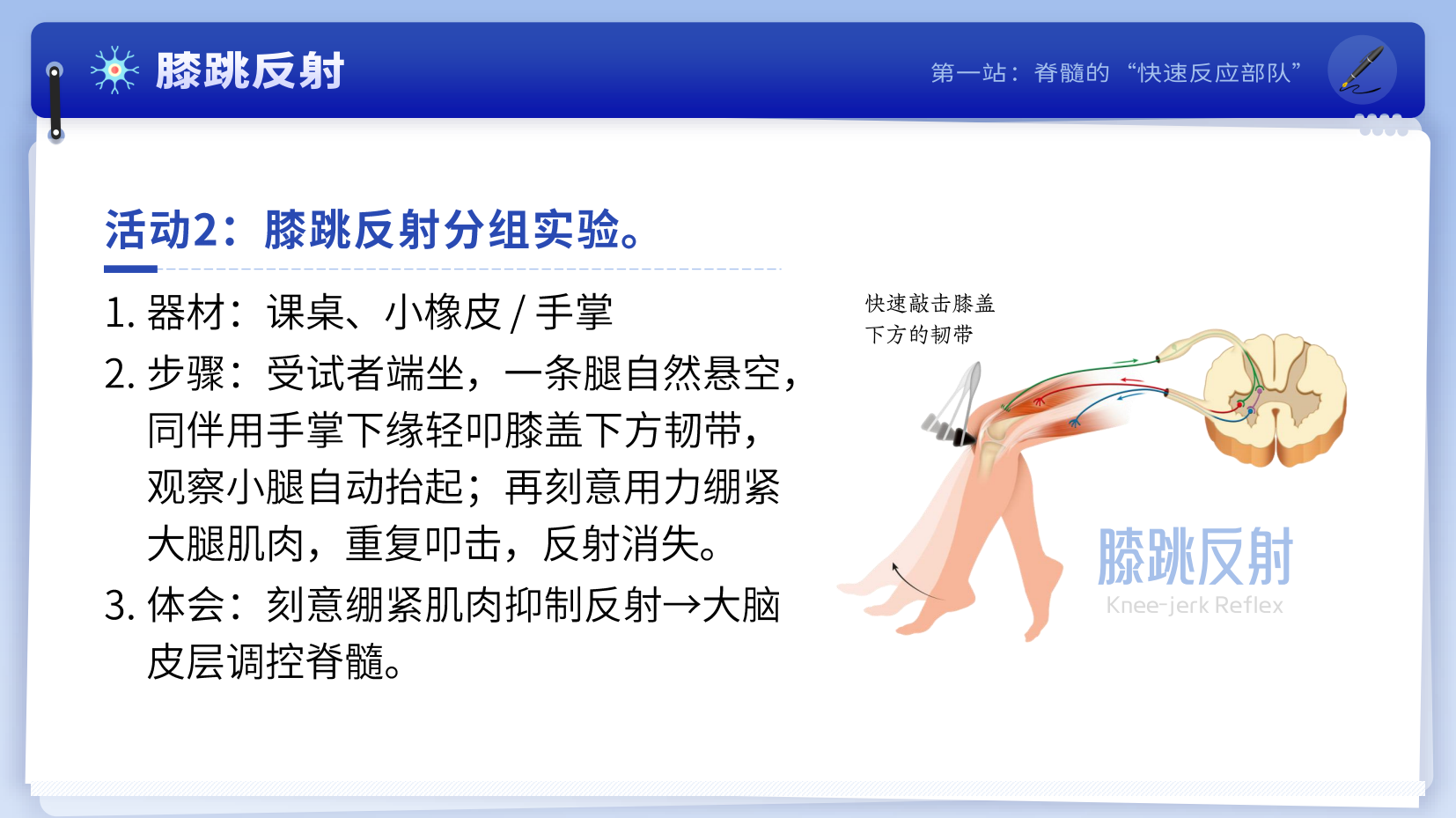 预览图 11