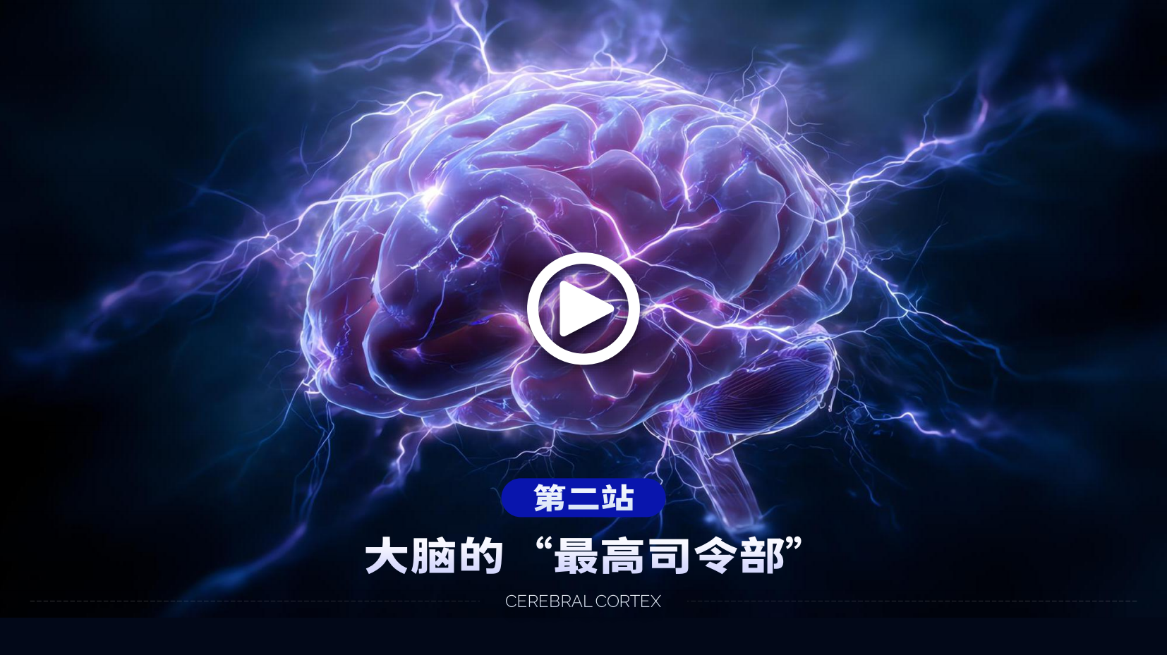 预览图 13