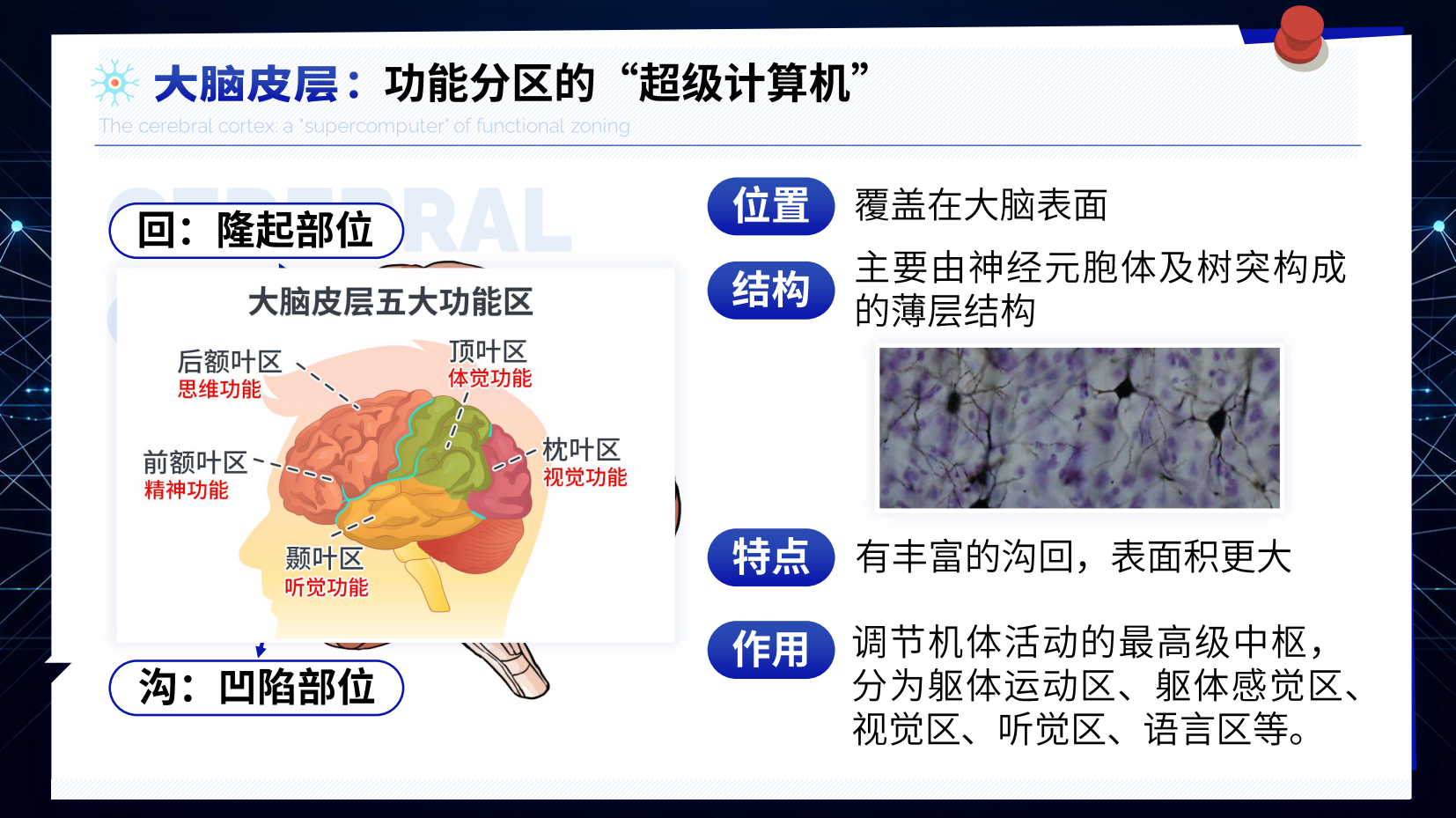 预览图 14