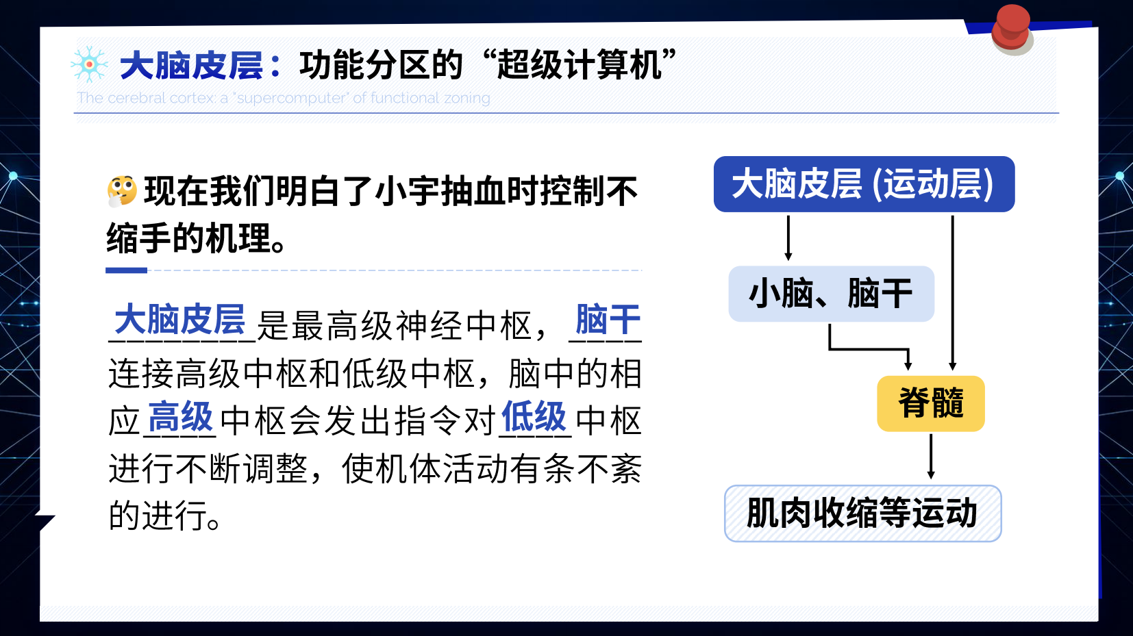 预览图 15
