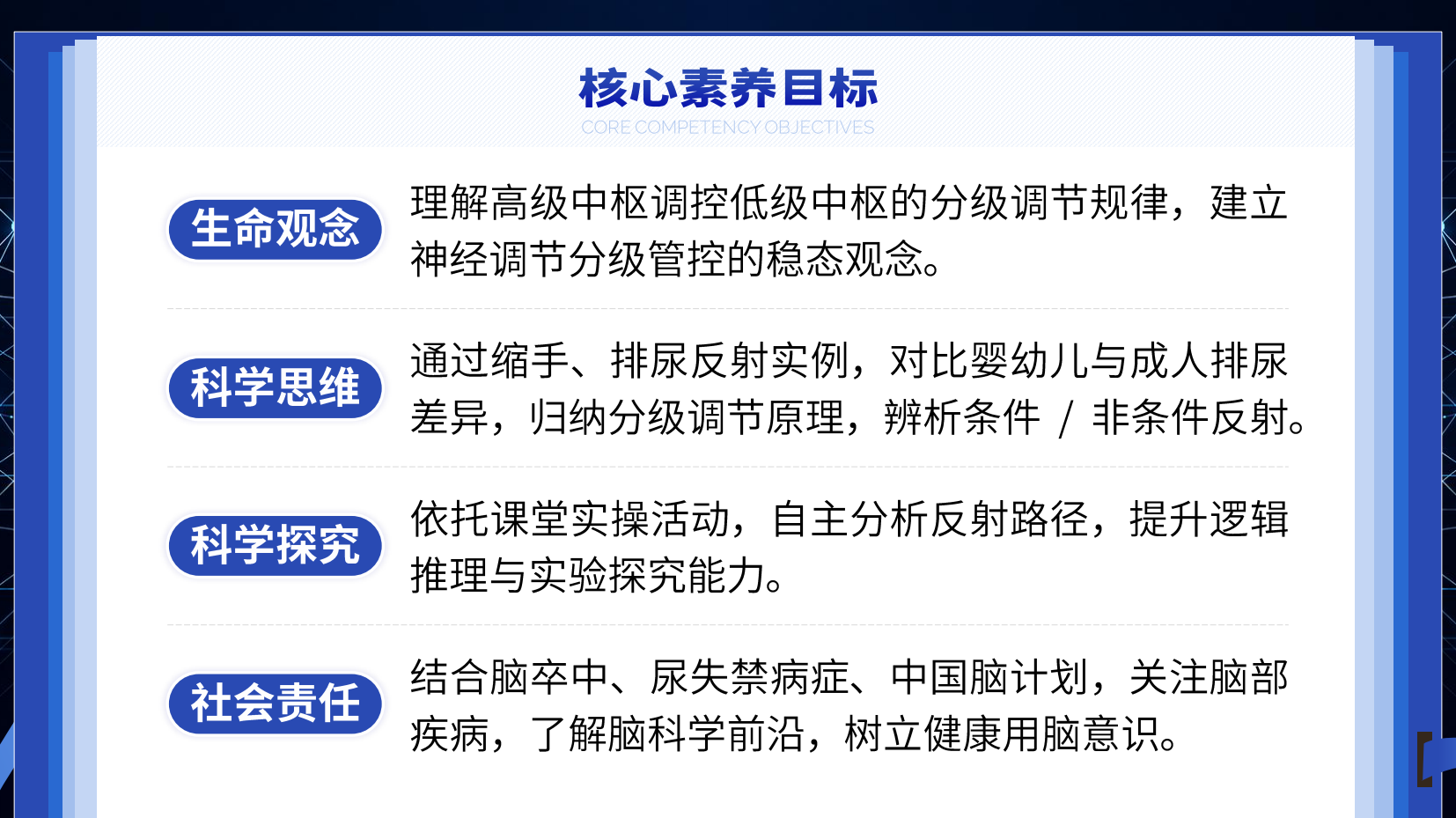 预览图 2