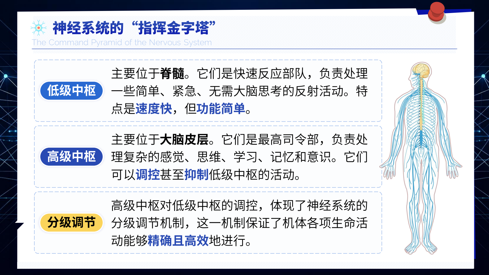预览图 4