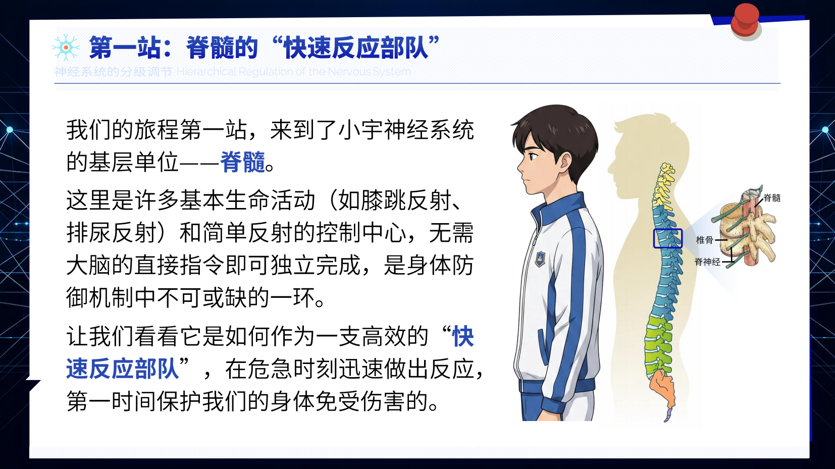 预览图 5
