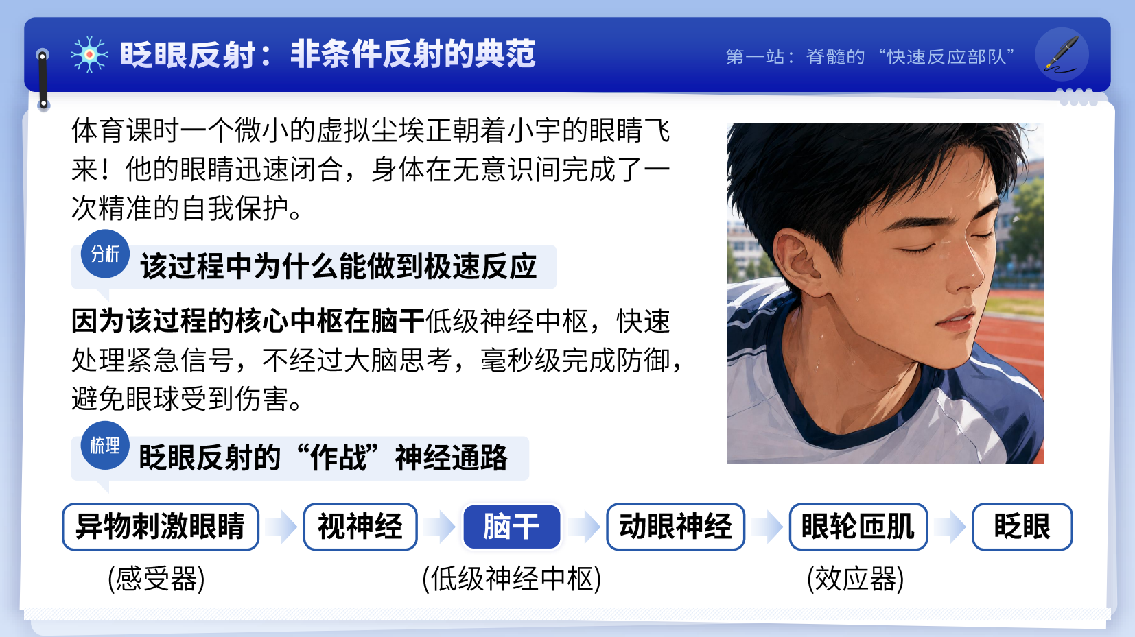 预览图 6
