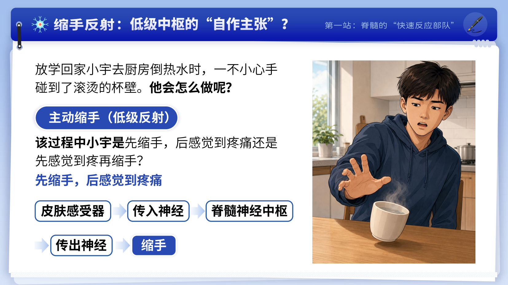 预览图 7