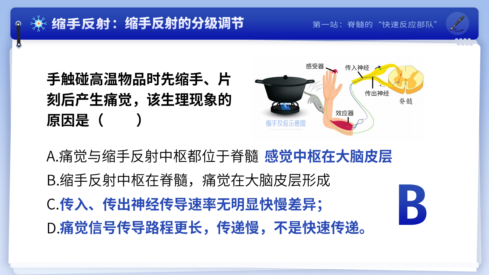 预览图 8