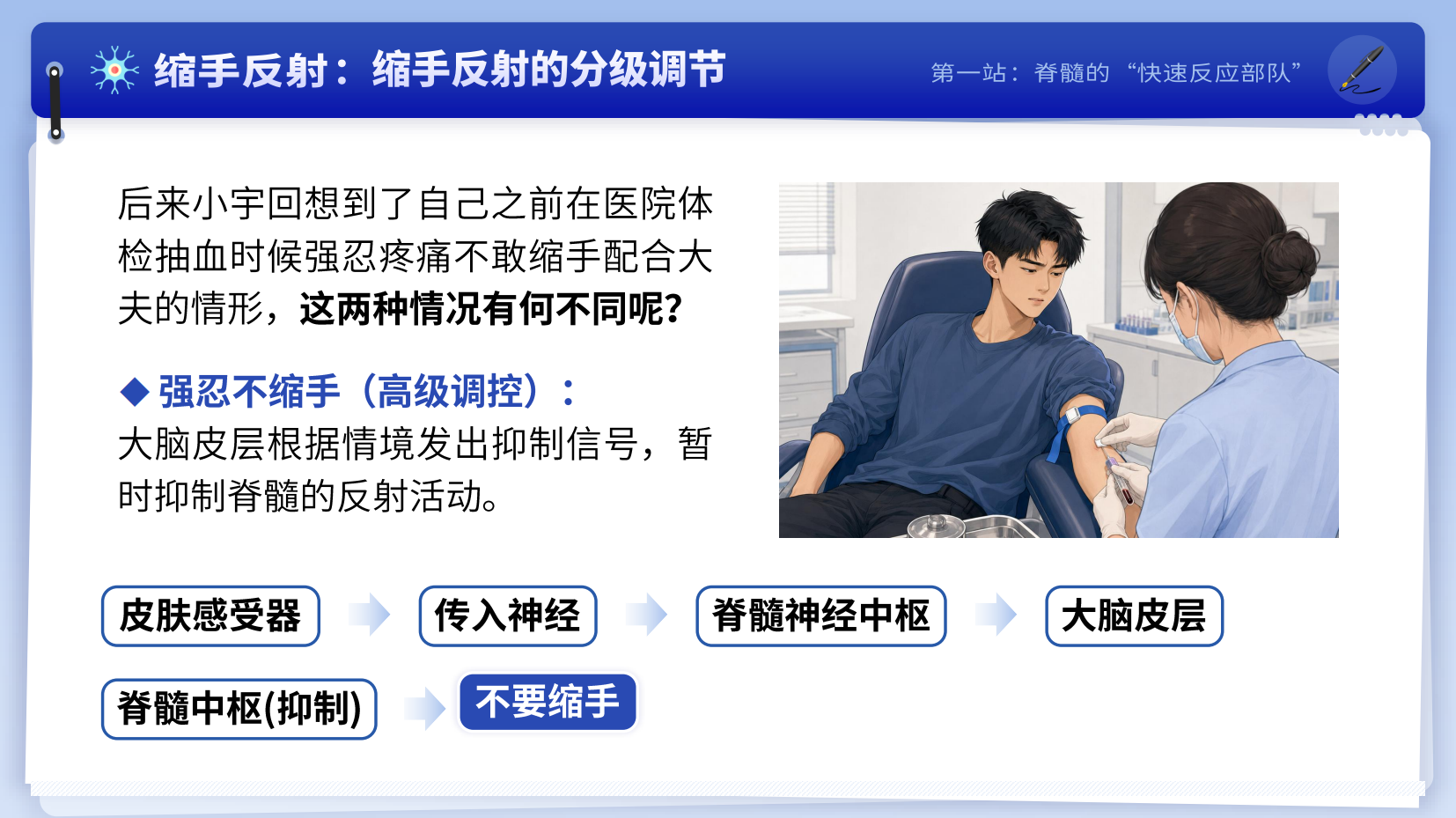 预览图 9