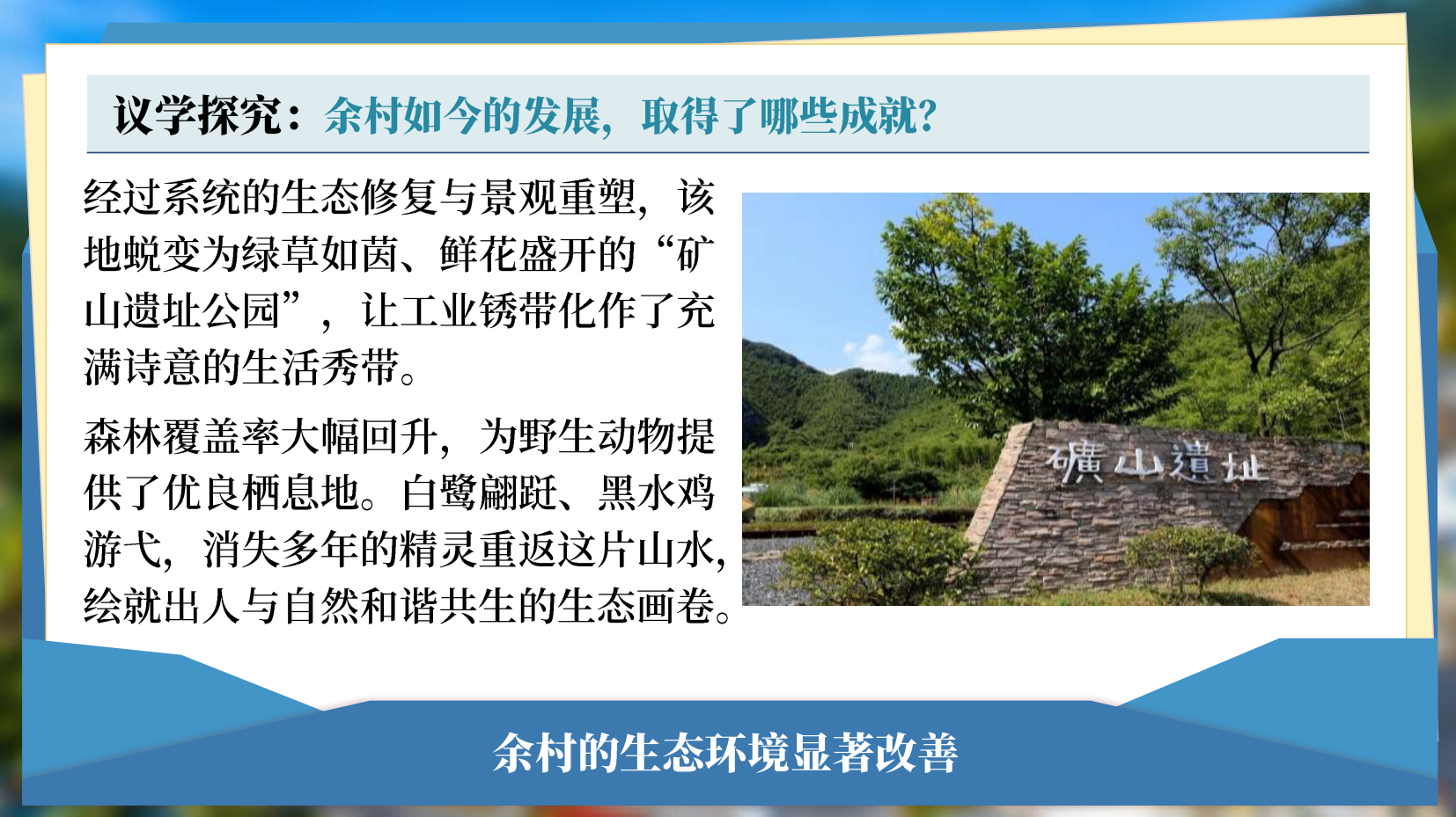 预览图 16