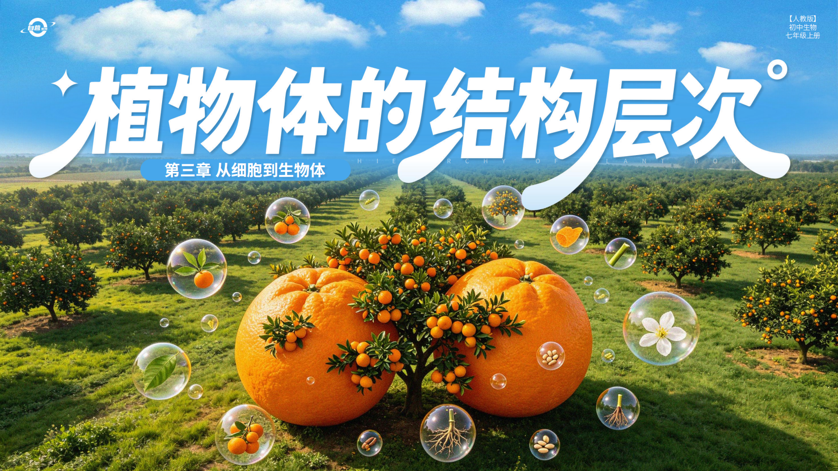 预览图 1