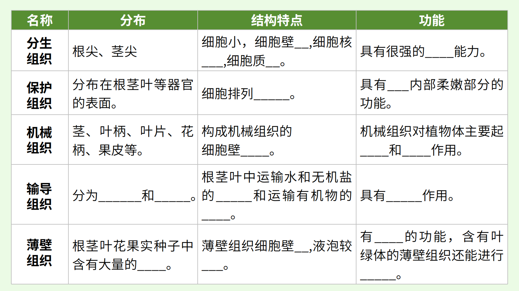 预览图 13