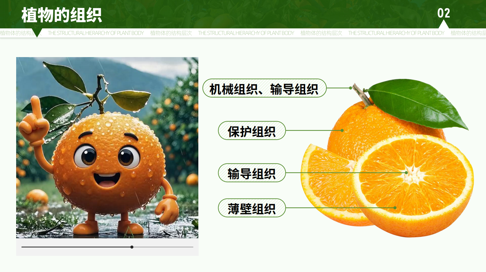 预览图 14