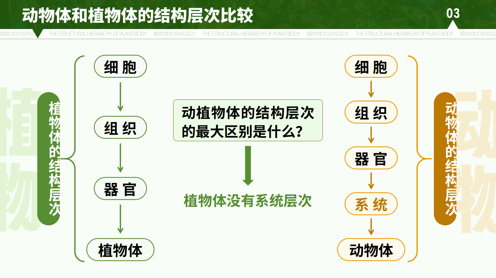 预览图 15