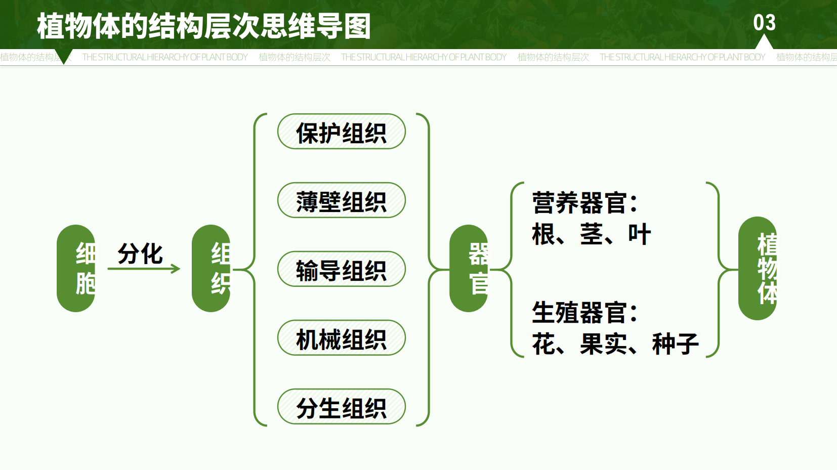 预览图 16