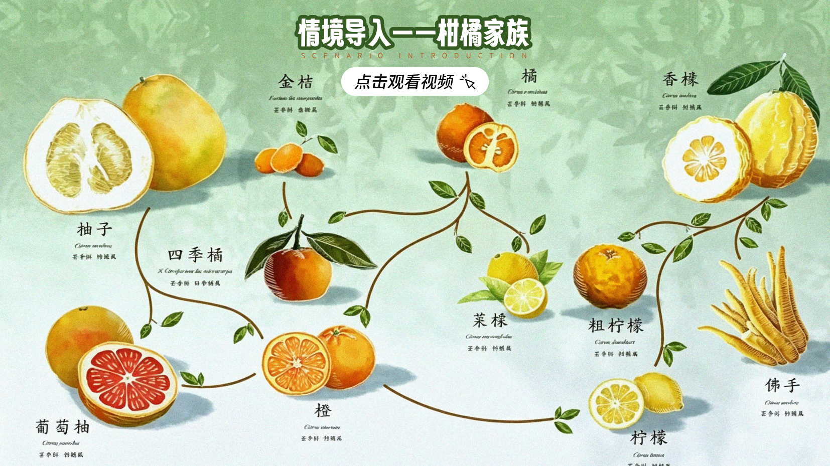 预览图 3