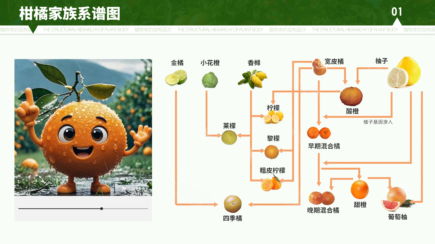 预览图 4