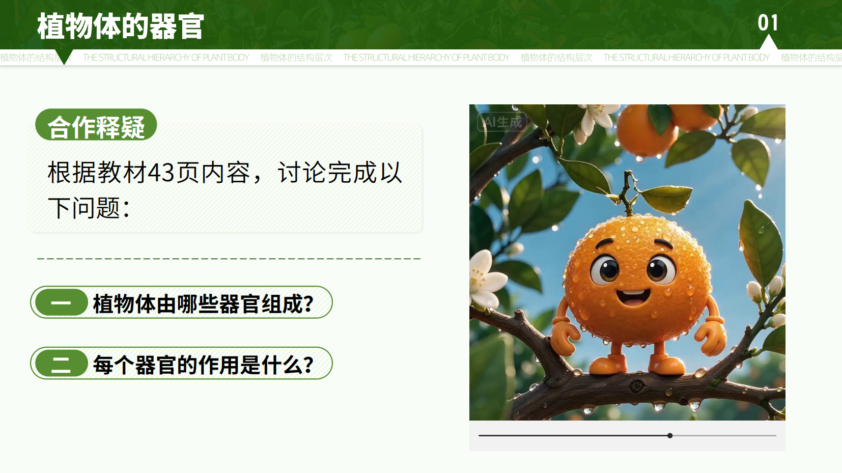 预览图 6