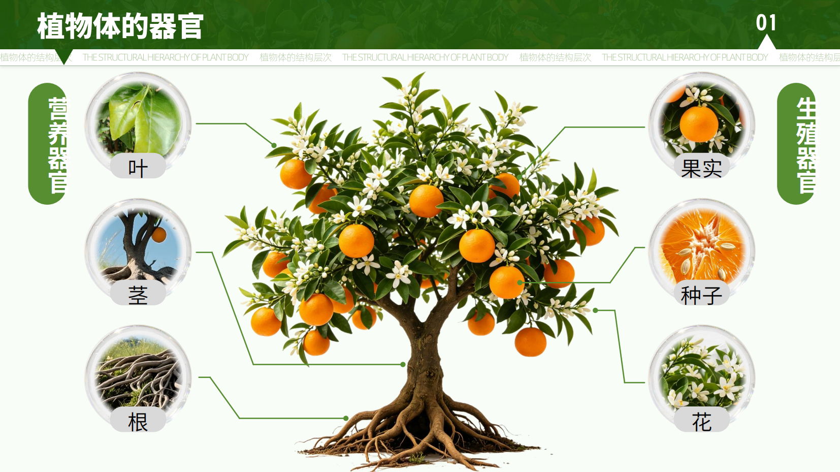 预览图 7