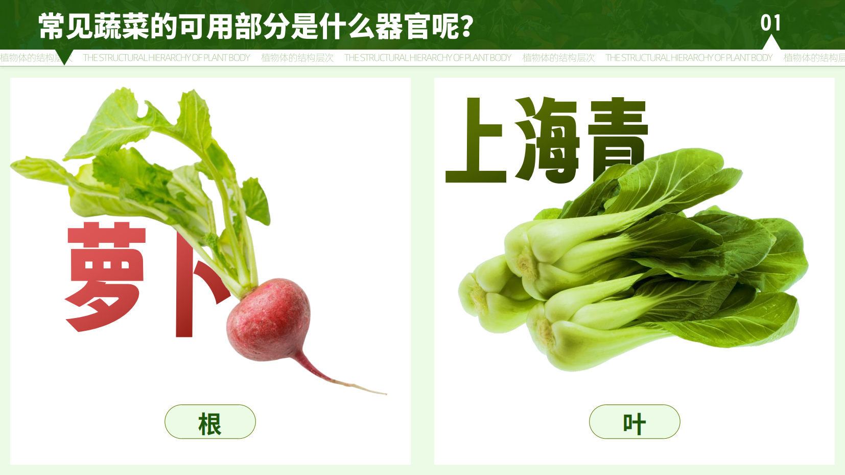 预览图 8