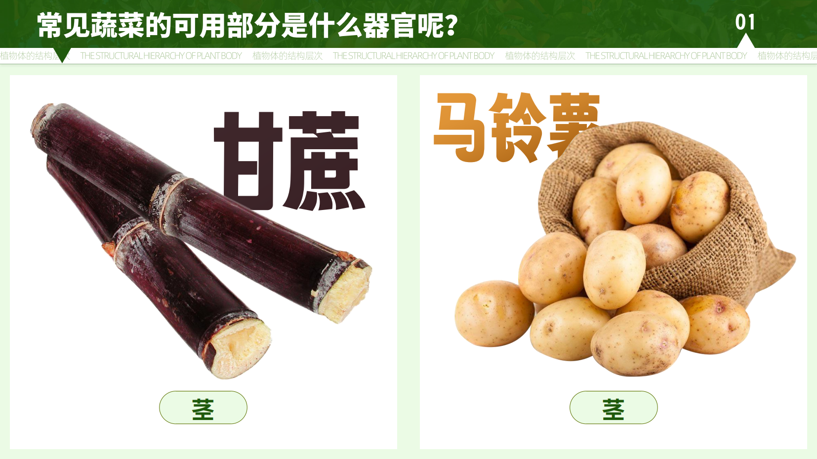 预览图 9